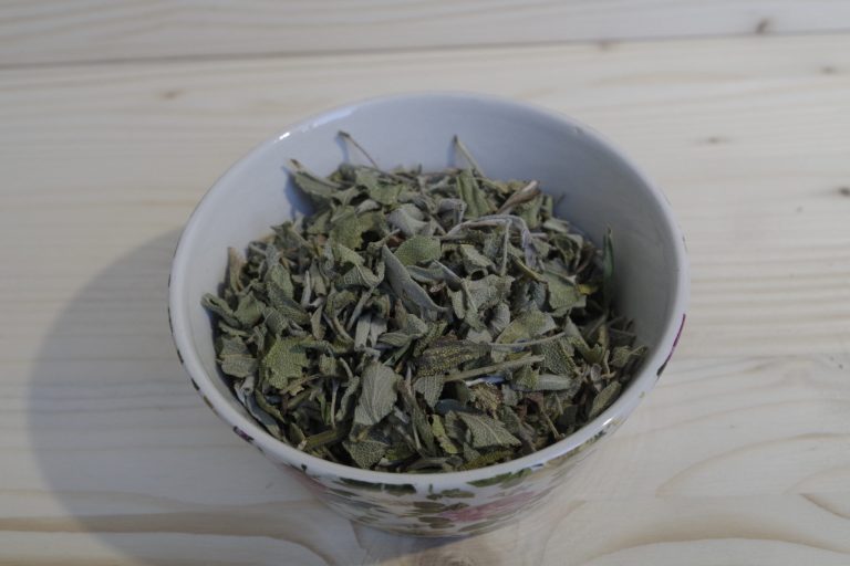 salvia foglie tisana