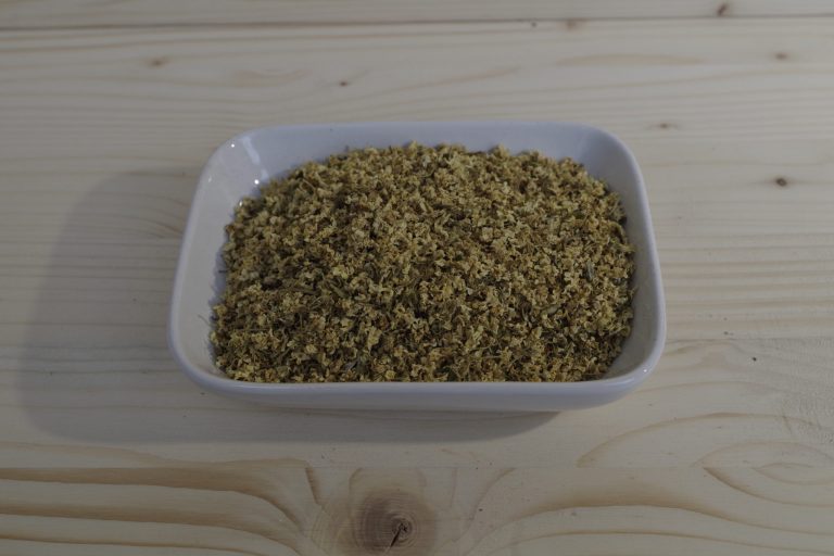 sambuco fiori tisana