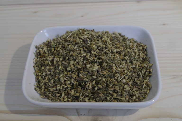 achillea millefoglie