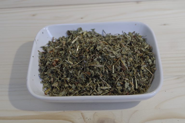 alchemilla tisana