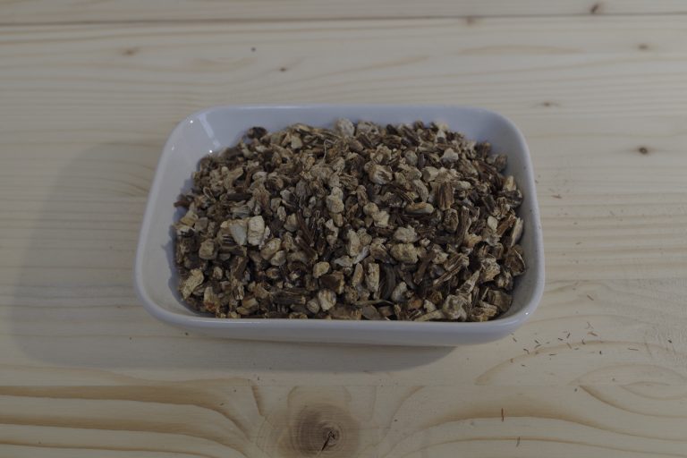 angelica archangelica di Boemia tisana