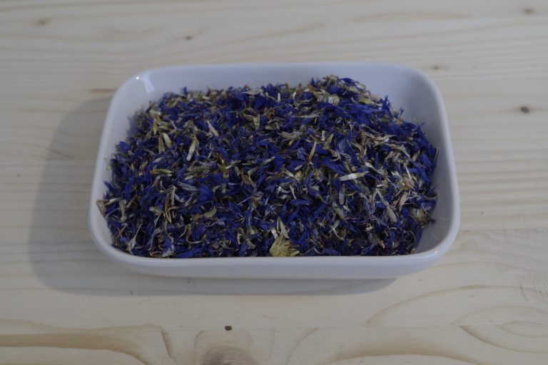 fiordaliso petali blu