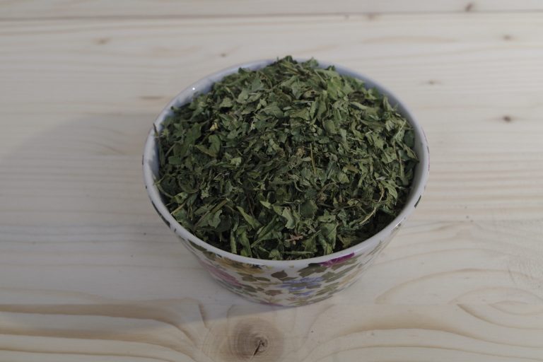 verbena odorosa tisana