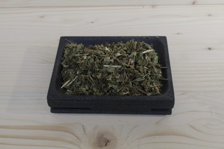 verga d'oro solidago tisana