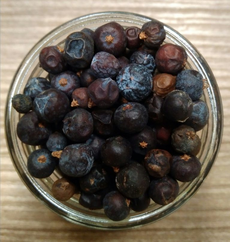 ginepro