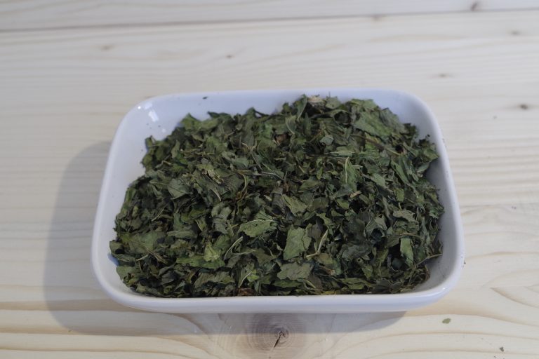 menta dolce