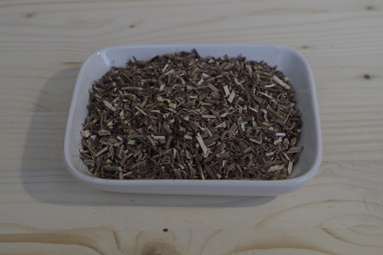 verbena officinale