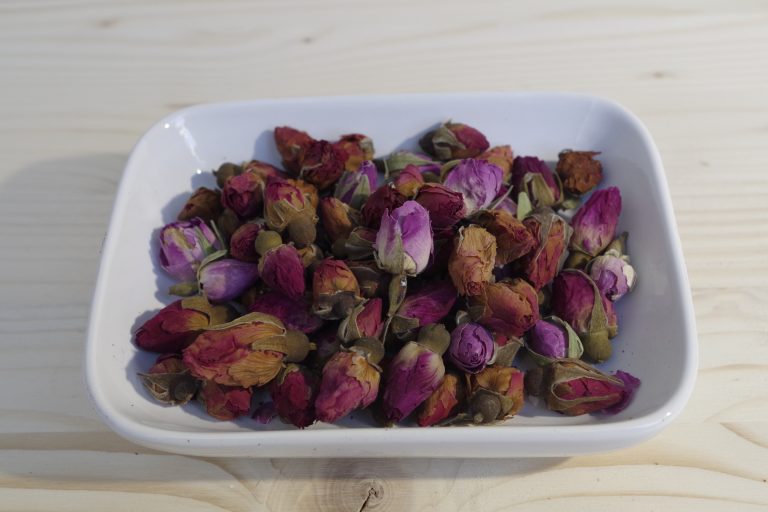 boccioli rosa rossa