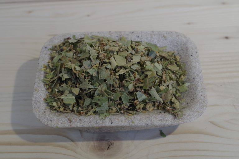 tiglio fiori brattee