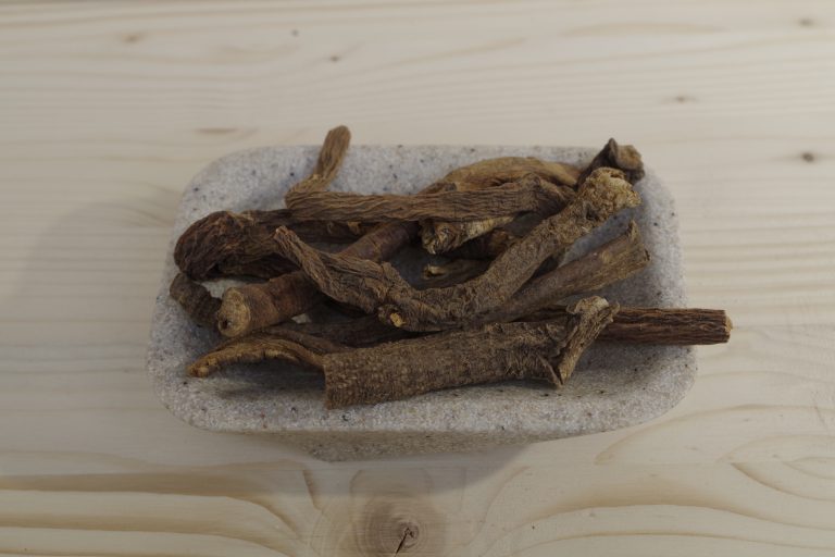 genziana radice intera