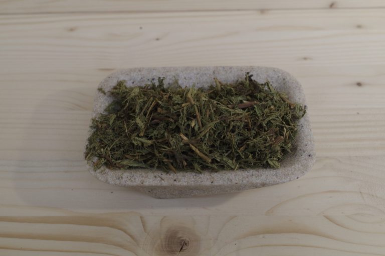 stevia rebaudiana erba