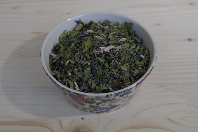 tisana detox intestino oberhammer